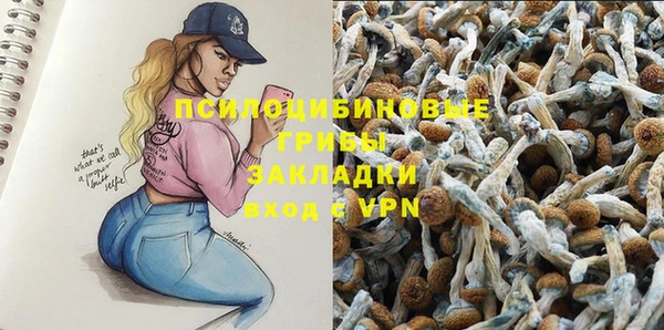 прущие крисы Алзамай