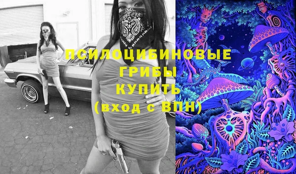 прущие крисы Алзамай