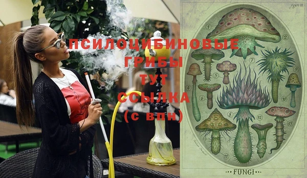 прущие крисы Алзамай