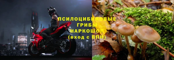 соль курить ск Алексин