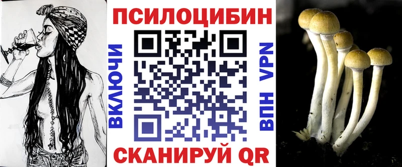 ссылка на мегу сайт  Ардатов  Псилоцибиновые грибы GOLDEN TEACHER  купить наркотики цена 